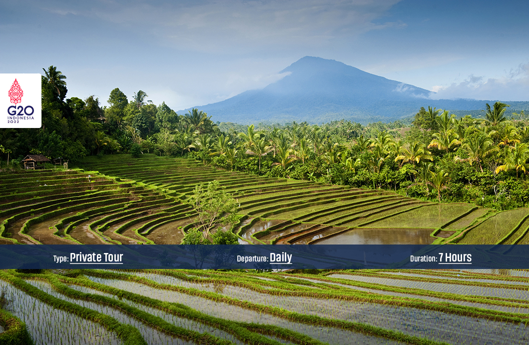 Tour Package Jatiluwih Green Bike Excursion (Deluxe)