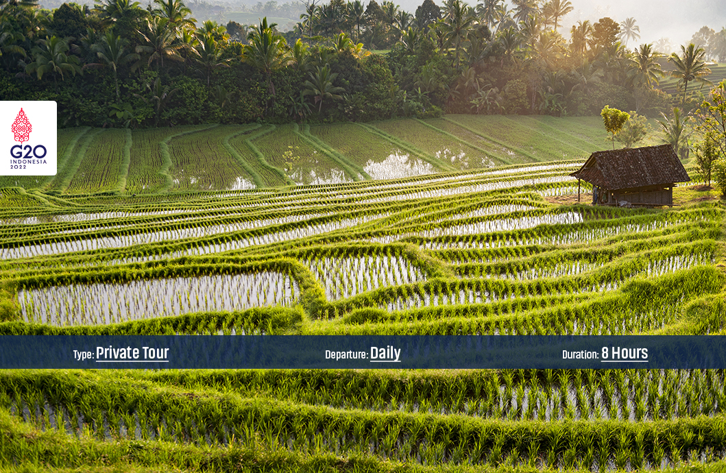Tour Package Bali Garden Route and Balinese Culinary Experience (Deluxe)